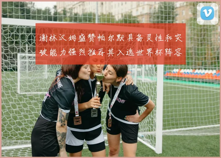 谢林汉姆盛赞帕尔默具备灵性和突破能力强烈推荐其入选世界杯阵容
