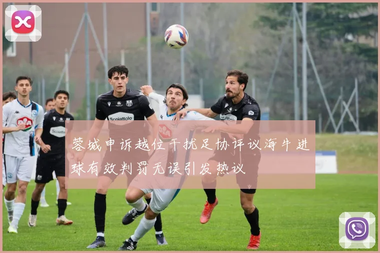蓉城申诉越位干扰足协评议海牛进球有效判罚无误引发热议